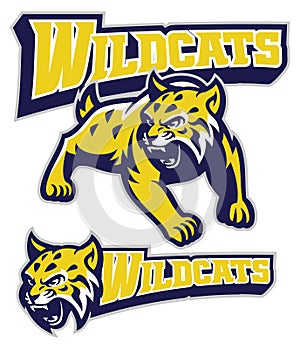 Angry wildcat mascot