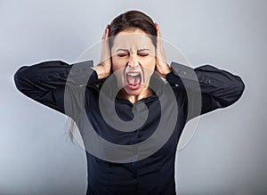 Angry young business woman strong screaming with wild.opened mouth and holding the head the hands in blue shirt on blue background