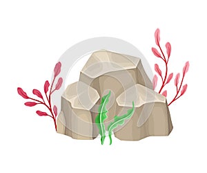 Angulated Sea Stone or Subsurface Rock with Seaweeds and Algae Vector Composition