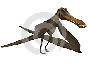Anhanguera - 3D Dinosaur