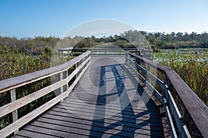 Anhinga Trail boardwalk in Everglades National Park on calm sunny morning.
