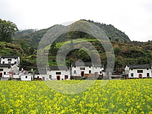 Anhui Mt. Huangshan Qi Men travels the scenery