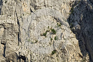 AniÃâ¡a kuk cliff in Paklenica National Park photo