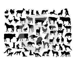 Animal Activity Silhouettes
