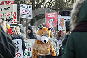 Animal advocacy activist man in a fox suit is holding a poster. Anti fur protest in Riga, Latvia
