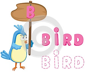 Animal alphabet b with bird