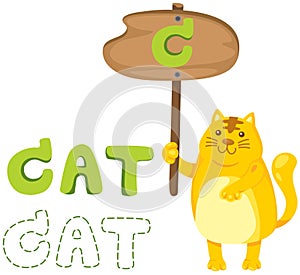 Animal alphabet c with cat