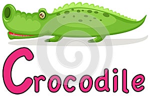Animal alphabet C for crocodile
