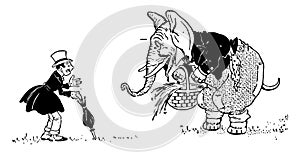 Animal Alphabet E, Elephant, vintage illustration