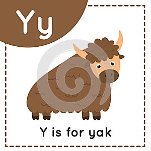 Animal alphabet flashcard for children. Learning letter Y. Y is for yak.