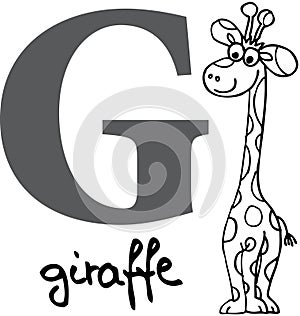 Animal alphabet G (giraffe)