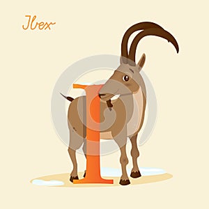 Animal alphabet with ibex photo