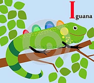 Animal alphabet for the kids: I for the Iguana