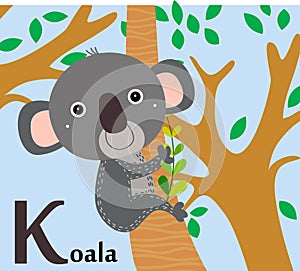 Animal alphabet for the kids: K for the Kolala