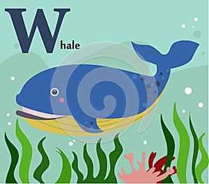 Animal alphabet for the kids: W for the Whale
