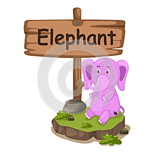 Animal alphabet letter E for elephant