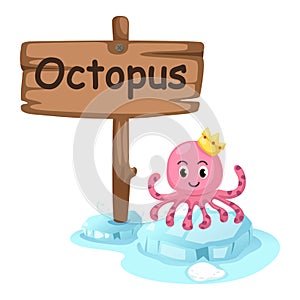 Animal alphabet letter O for octopus