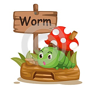 Animal alphabet letter W for worm