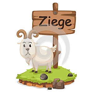 Animal alphabet letter z for ziege