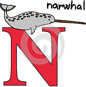 Animal alphabet N (narwhal) photo