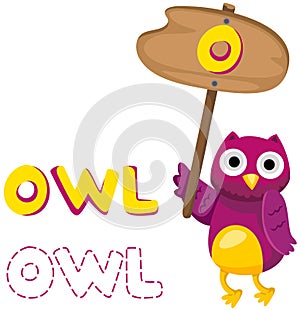 Animal alphabet o with owl
