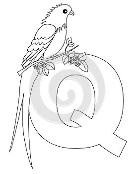 Animal Alphabet Q Coloring page