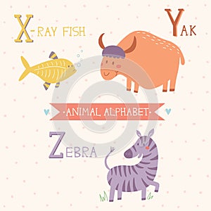 Animal Alphabet. X-ray fish, Yak, Zebra. Part 7