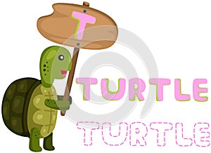 Animal alphabet t with turtle