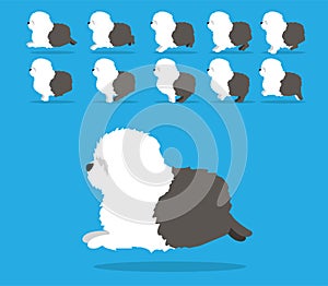 Animal Animation Sequence Dog Old English Sheepdog Cartoon Vector