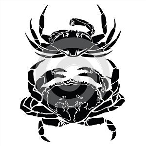 Crab  black and white drawing Red Gold Vintage Sea food illustration vector