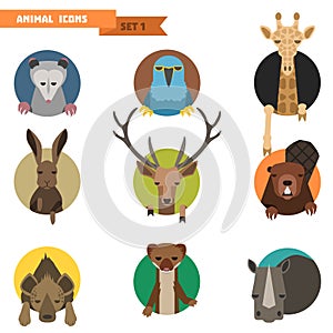 Animal avatars. Vector Illustration photo