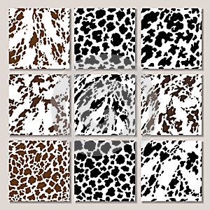 Animal background. Cow Hide, Holstein cattle texture. Mammals Fur. Print skin. Predator Camouflage. Printable Vector