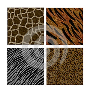 Animal Backgrounds