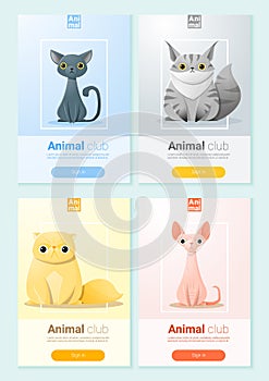 Animal banner with Cats for web design