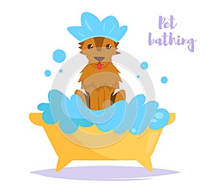 Animal bath Vector. Cartoon. Isolated art Dog Clean