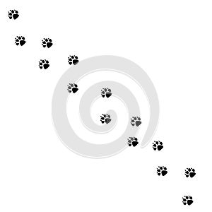 Animal black foots and wildlife animal mammal steps, pet traces. Animal foots silhouette steps Animal foot prints and tracks isola