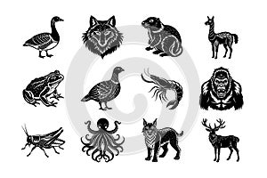 Animal bundle vector art illustration photo