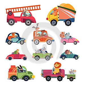 Animal car drivers. Cartoon kids vehicle, funny animals transportation group. Cute racers, isolated reptiles lion