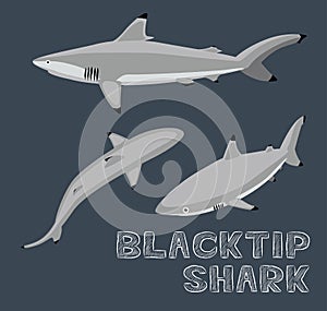 Blacktip Shark Cartoon Vector Illustration photo