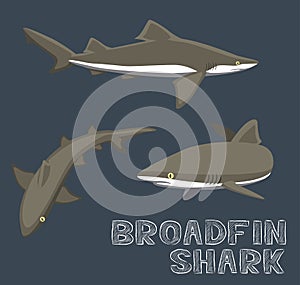 Broadfin Shark Cartoon Vector Illustration photo
