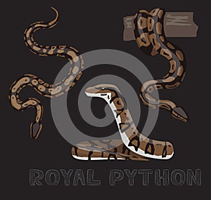 Snake Royal Python Cartoon Vector Illustration