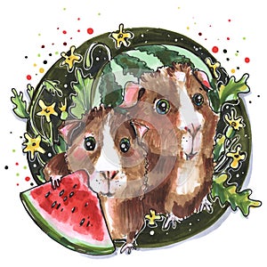 Animal cartoon style Guinea pigs Watermelon summer illustration