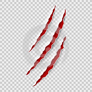 Animal claw tracks. Claws tiger or bear attack nails scratches, halloween monster laceration, scratch with blood, vector photo