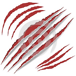 Animal Claws scratches. vector