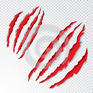 Animal Claws Scratching. Vector Illustration.