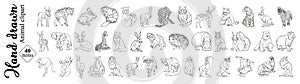 Animal clipart vector illustrations in black and white. 50 vector illustrations