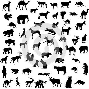 Animal collection silhouettes