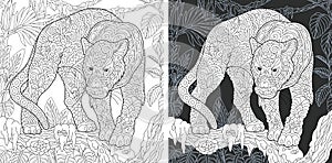 Animal Coloring Page photo