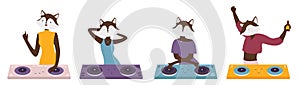 Animal crazy dj set, black fox characters on music fun party discotheque, standing at turntable