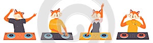 Animal crazy dj set, fox characters on music fun party discotheque, standing at turntable